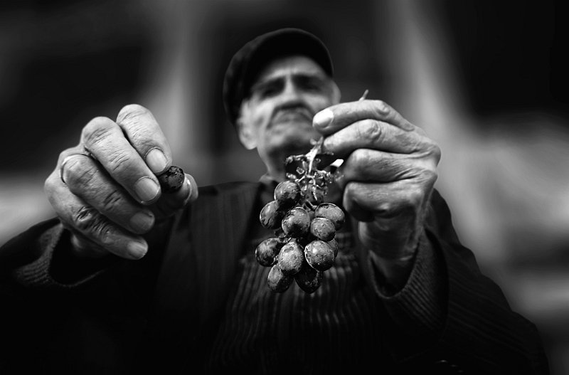 294 - grape - BERK METIN - turkey.jpg